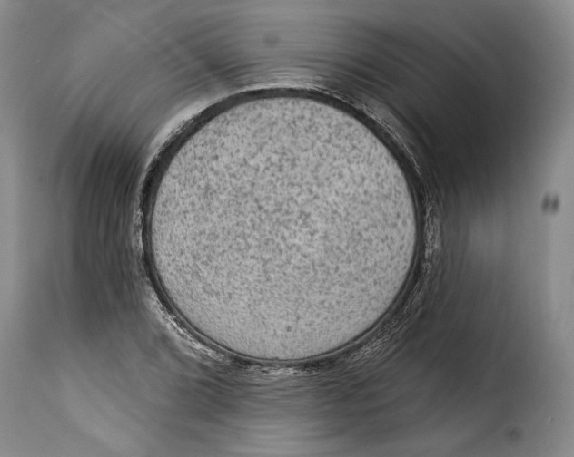 X0000115361072200911241211