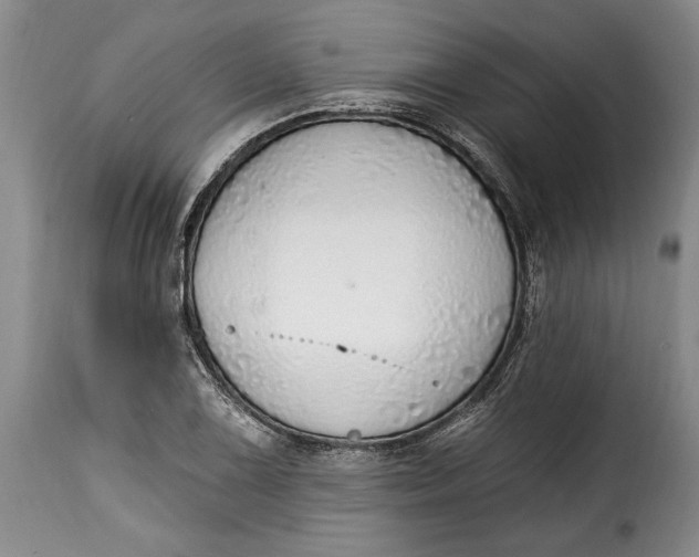 X0000115361075200911241211