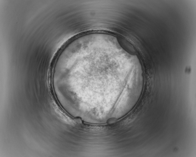 X0000115361076200911241211