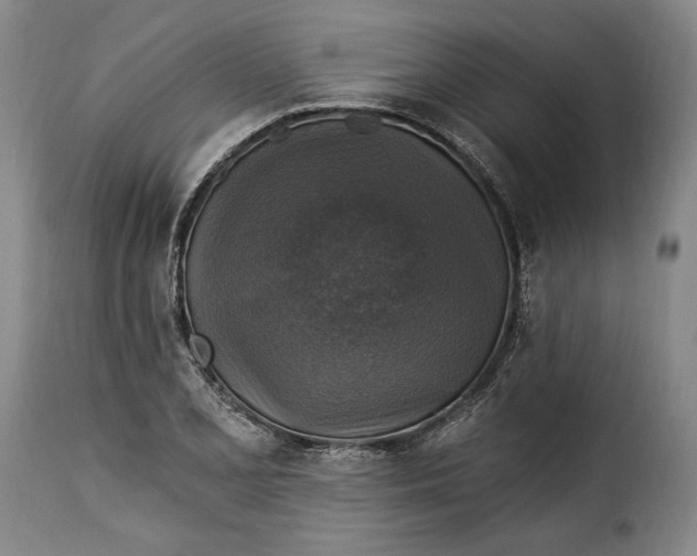 X0000115361077200911241211
