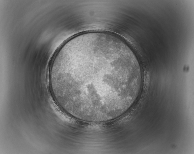 X0000115361078200911241211