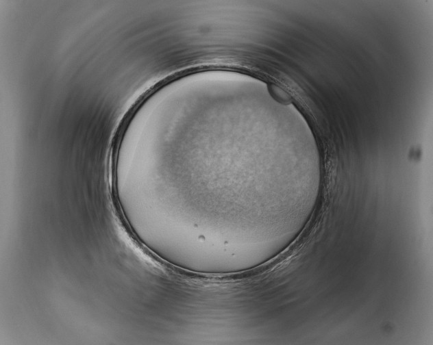 X0000115361084200911241211