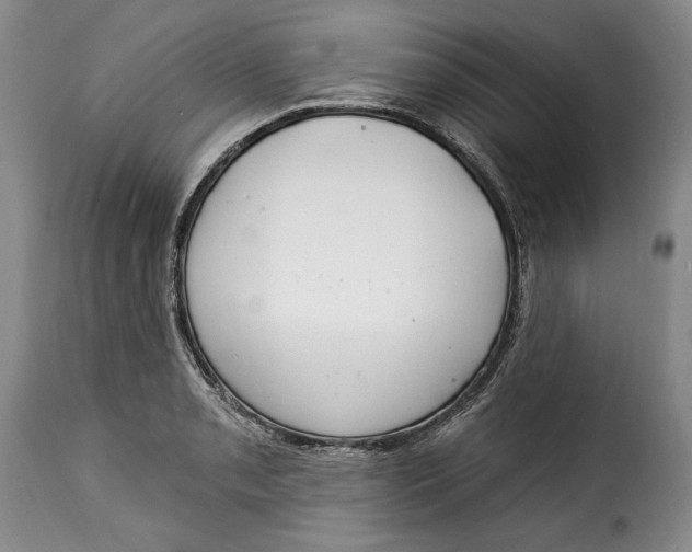 X0000115361085200911241211