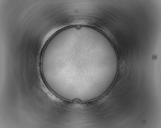 X0000115361086200911241211