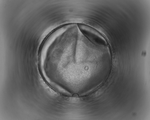 X0000115361088200911241211