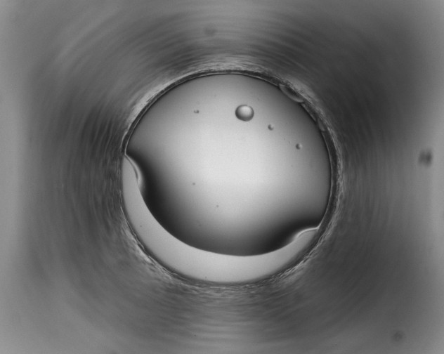 X0000115361089200911241211