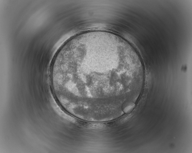 X0000115361090200911241211