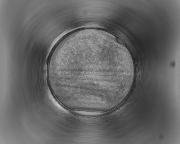 X0000115361092200911241210