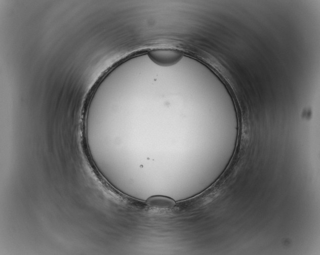 X0000115361093200911241210