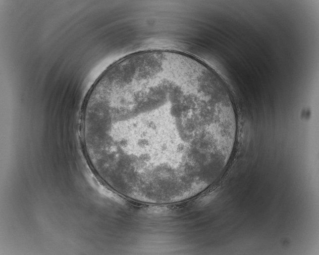 X0000115361094200911241210