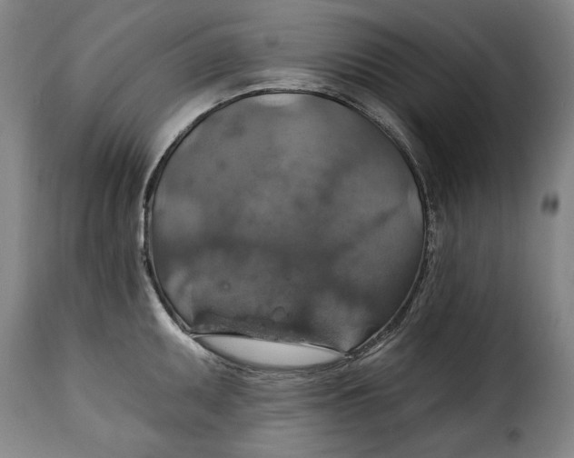 X0000115361095200911241210
