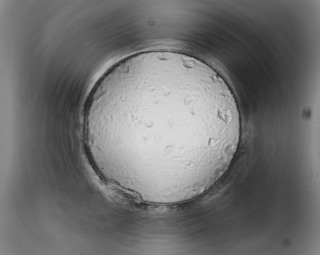X0000115361099200911241210