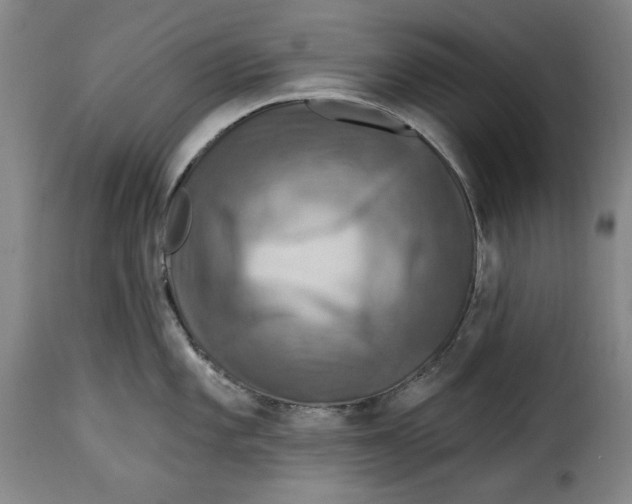 X0000115361101200911241210
