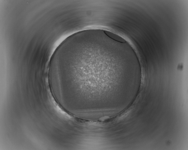X0000115361102200911241210