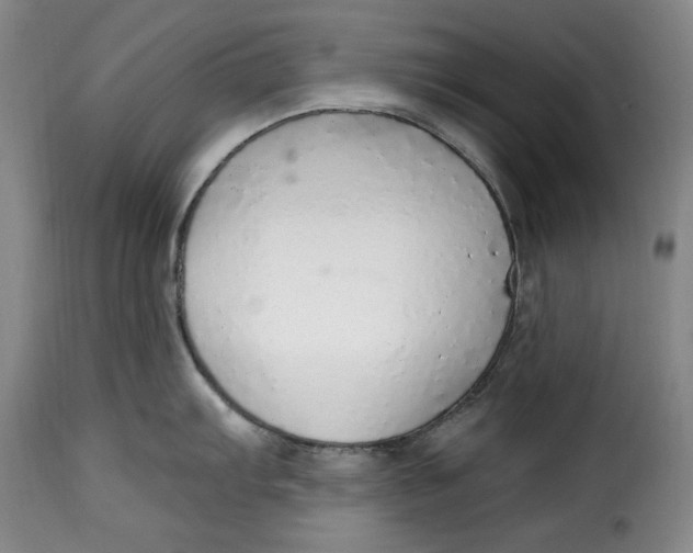 X0000115361103200911241210
