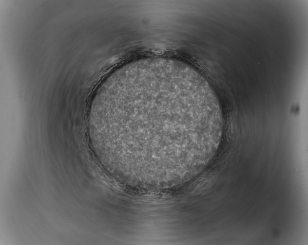 X0000115361105200911241209