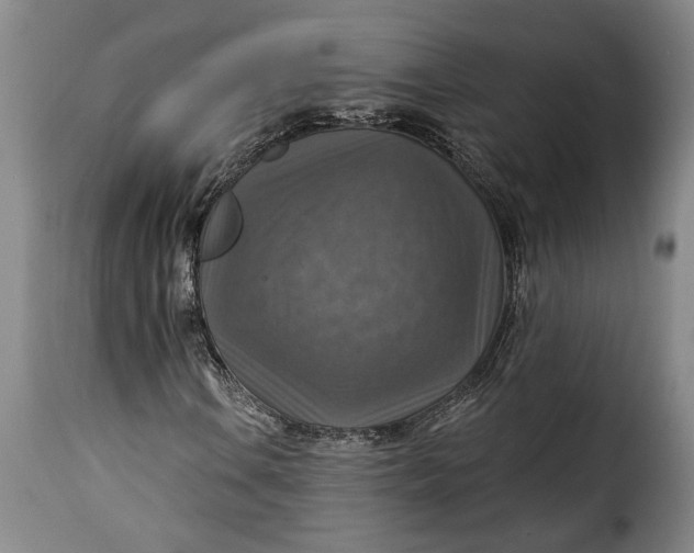 X0000115361106200911241209
