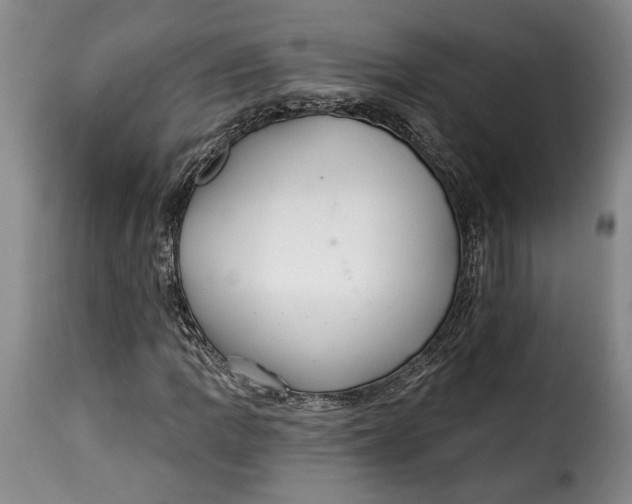 X0000115361109200911241209