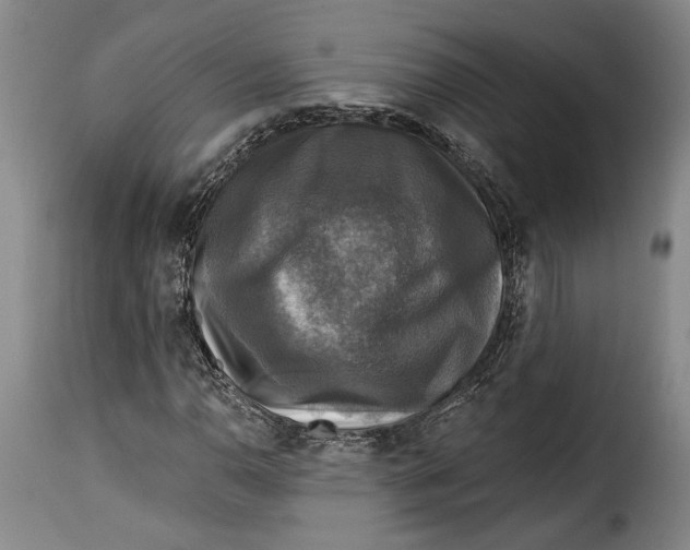 X0000115361110200911241209