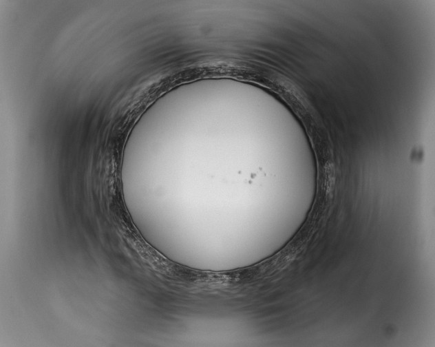 X0000115361111200911241209