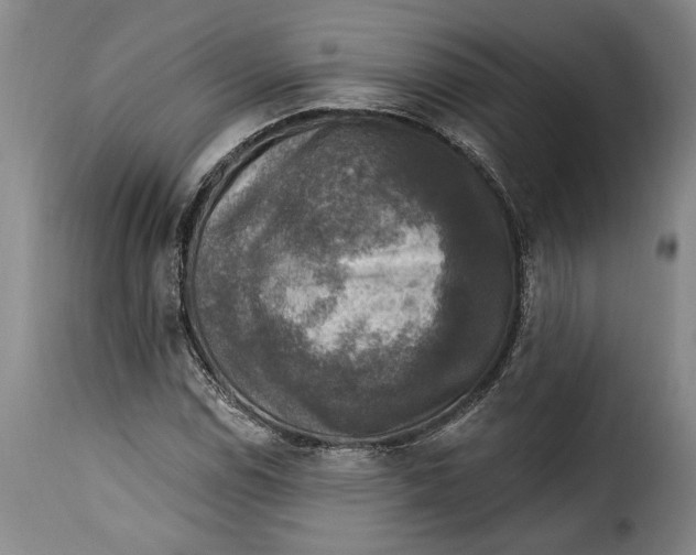 X0000115361114200911241209