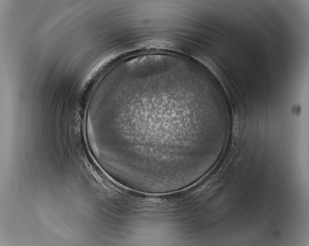 X0000115361115200911241209