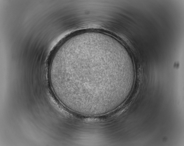 X0000115361118200911241210