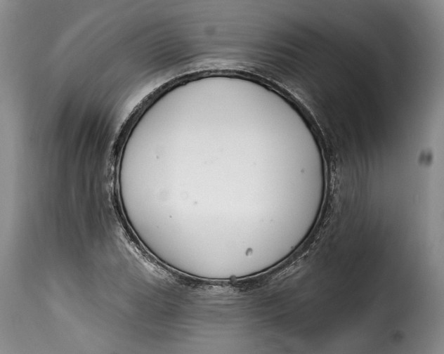 X0000115361119200911241210
