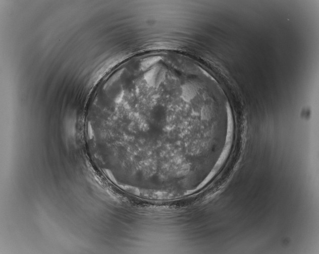 X0000115361121200911241210