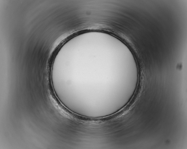 X0000115361122200911241210