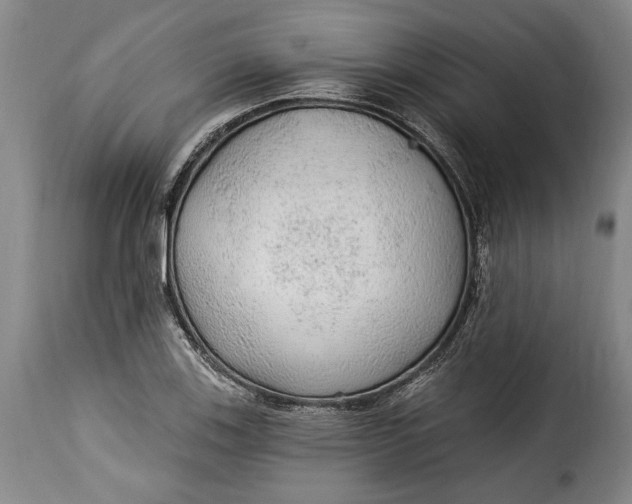 X0000115361123200911241210