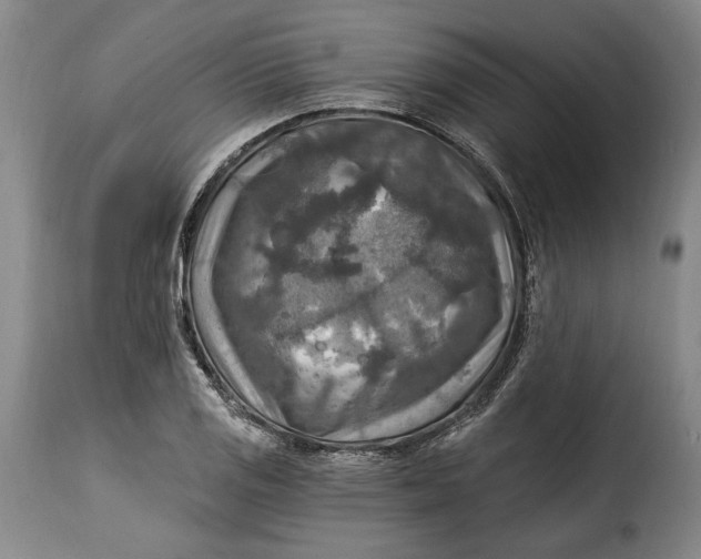 X0000115361125200911241210