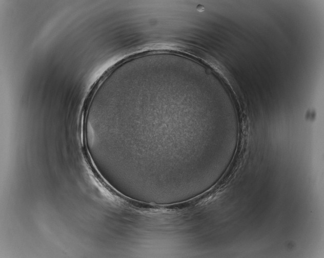 X0000115361127200911241210