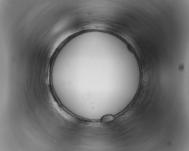 X0000115361131200911241210