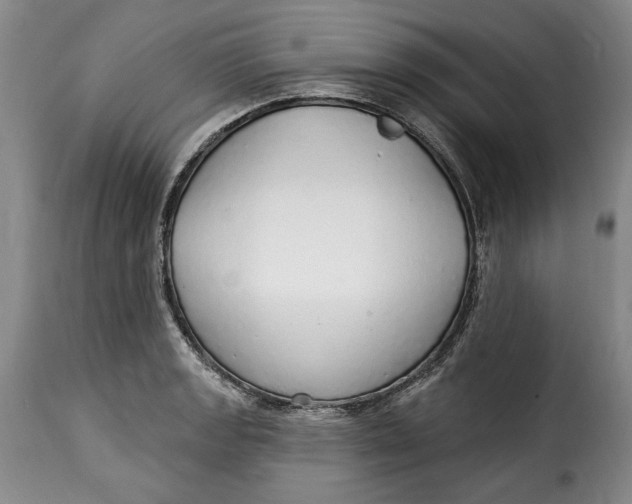 X0000115361133200911241210
