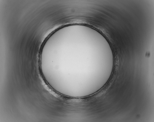 X0000115361134200911241210