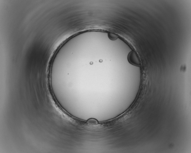 X0000115361135200911241210