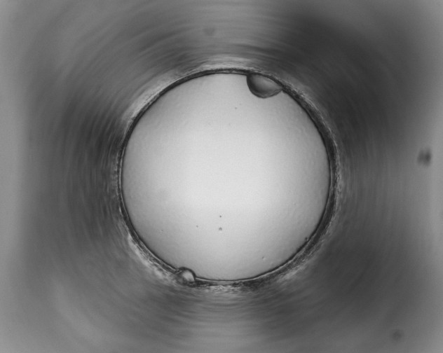 X0000115361137200911241210