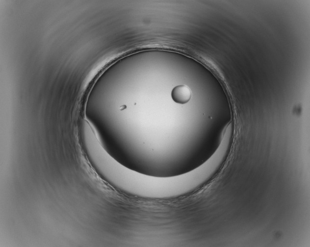 X0000115361138200911241210