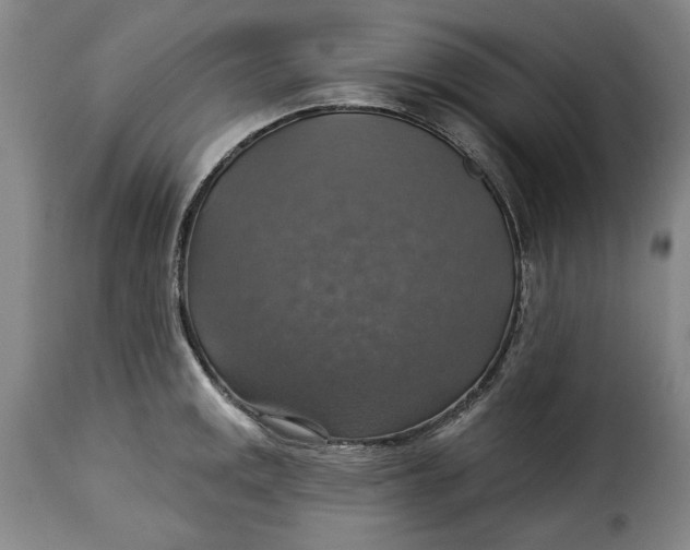 X0000115361141200911241210