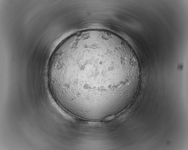 X0000115361142200911241210
