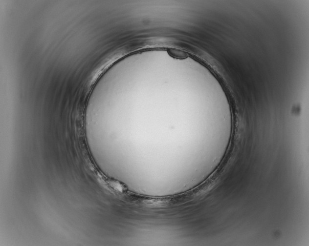 X0000115361145200911241210