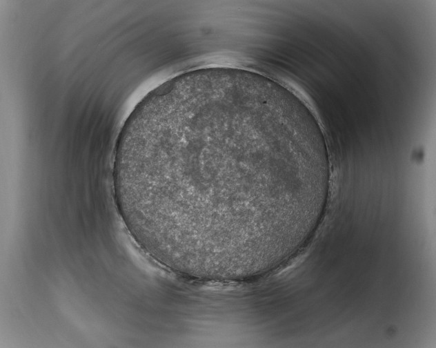 X0000115361146200911241210