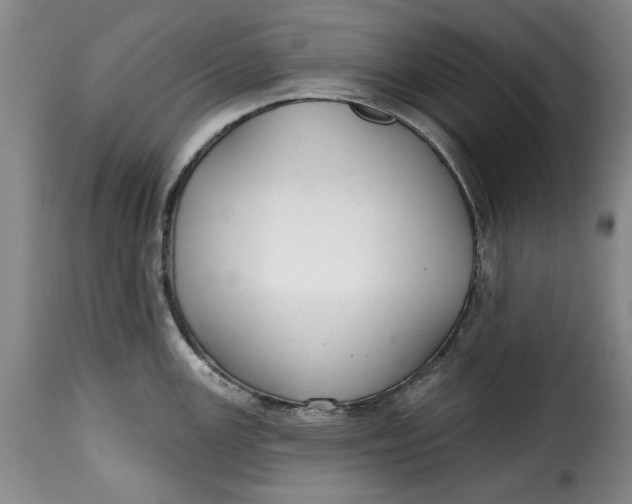 X0000115361147200911241210