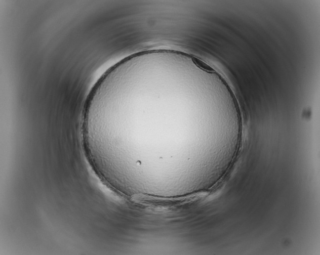 X0000115361149200911241210