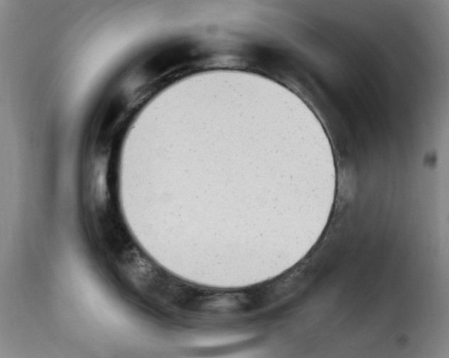 X0000115361150200911241210