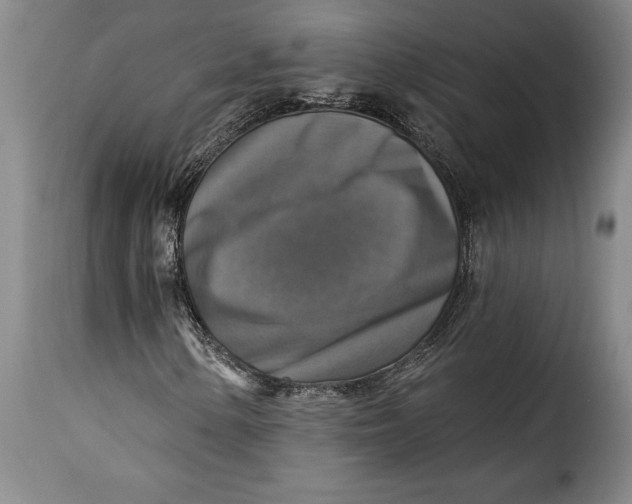 X0000115361154200911241209