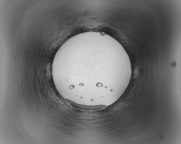 X0000115361156200911241209