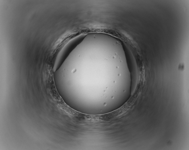 X0000115361157200911241209