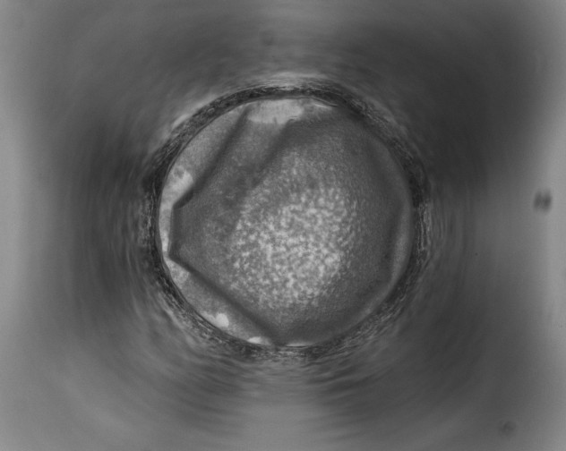X0000115361158200911241209